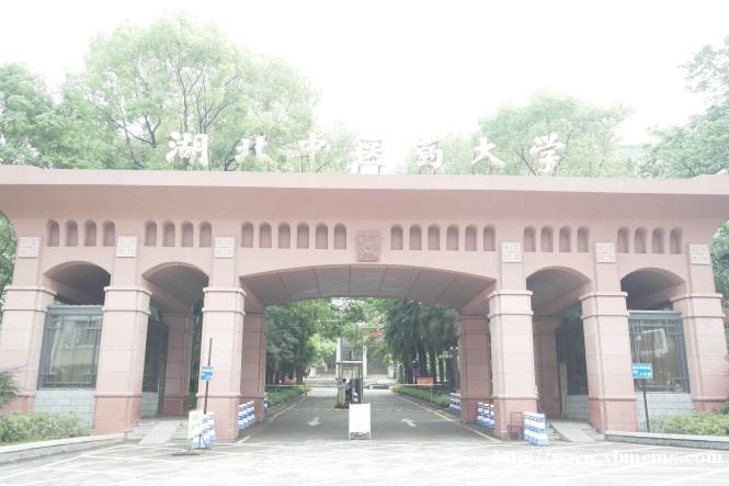 2010年河南省公务员考试考前辅导行政职业能力测验强化提高班 2010年河南省公务员考试考前辅导行政职业能力测验强化提高班